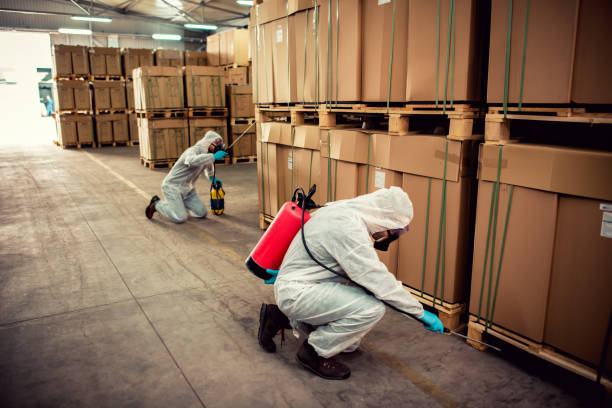 Best Pest Control Near Me in Roxana, IL