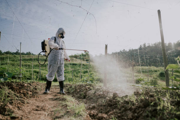 Best Affordable Pest Control Services  in Roxana, IL