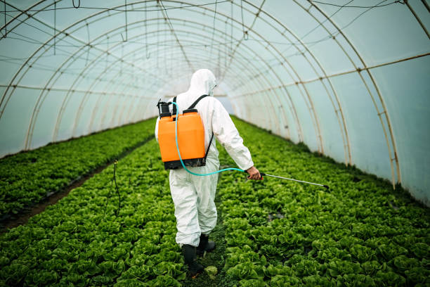 Best Pest Inspection Near Me  in Roxana, IL