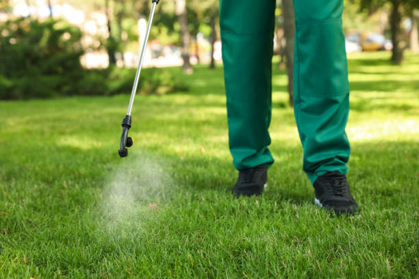 Best Termite Control Services  in Roxana, IL
