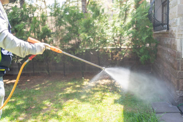 Best Flea Control Services  in Roxana, IL