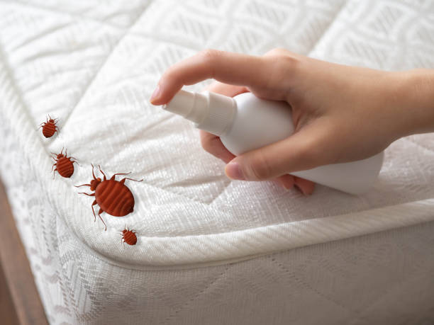 Best Pest Inspection Near Me  in Roxana, IL
